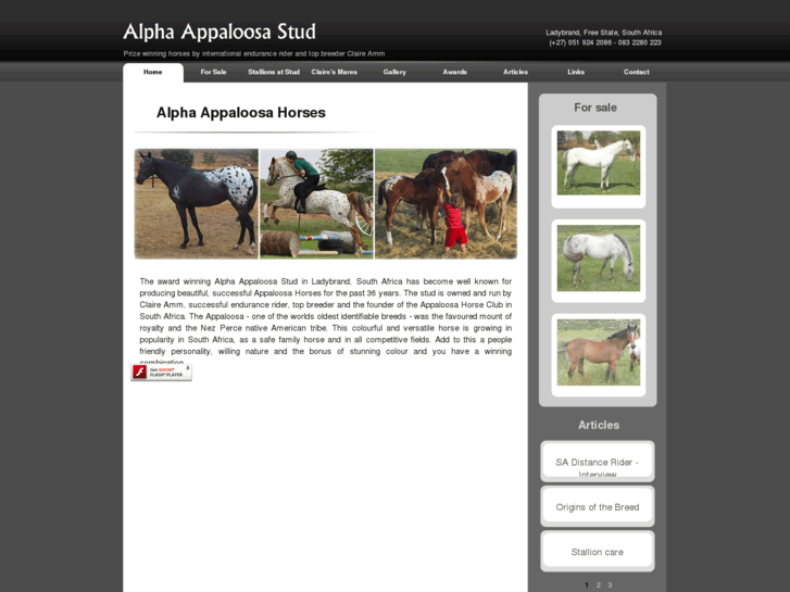 www.alphaappaloosa.com