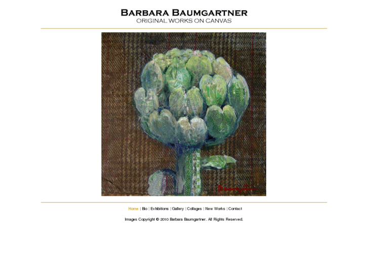 www.barbarabaumgartner.com
