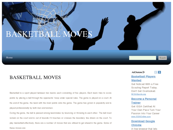 www.basketballmoves.org