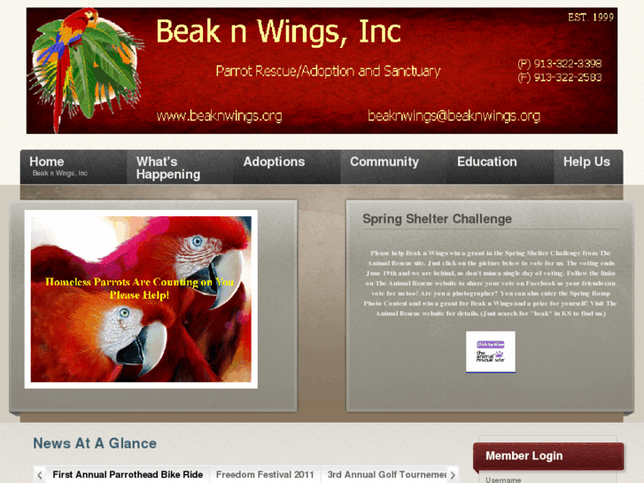 www.beaknwings.org