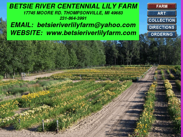 www.betsieriverlilyfarm.com