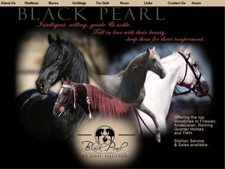 www.blackpearlclassicequines.com