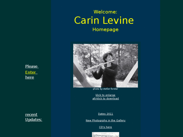 www.carinlevine.de