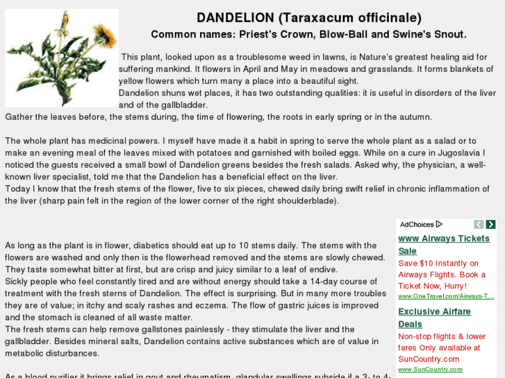 www.common-dandelion.com