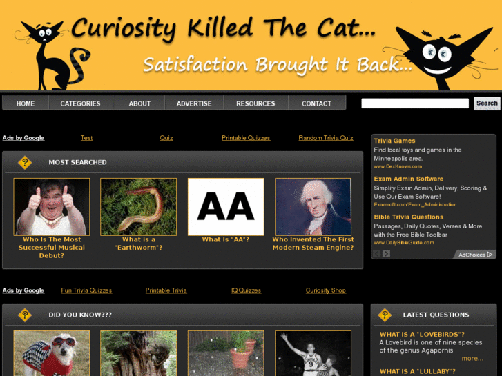 www.curiosity-killed-the-cat.net