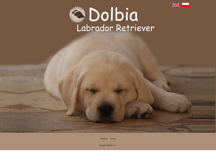 www.labrador-dolbia.pl