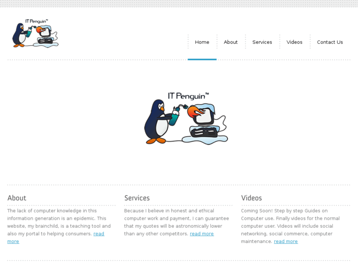 www.theitpenguin.com