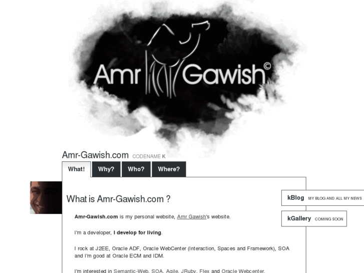 www.amr-gawish.com