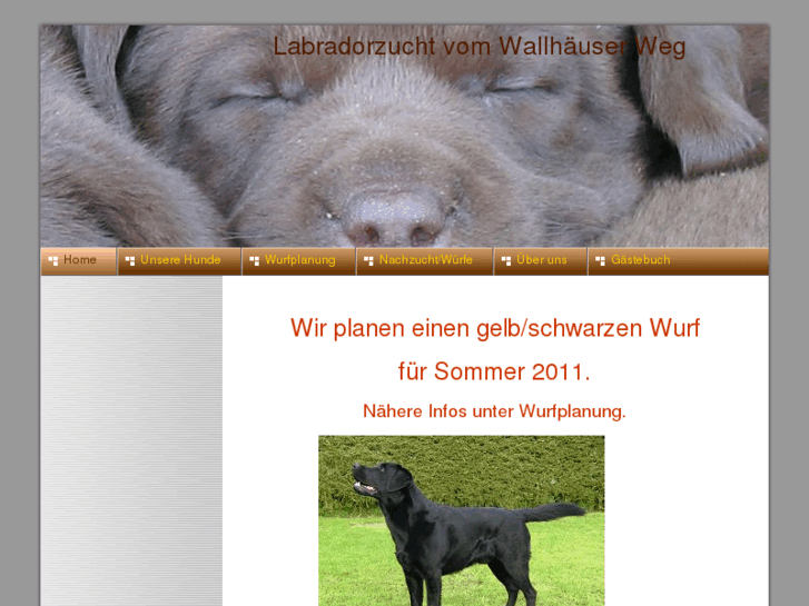 www.labradorvomwallhaeuserweg.de