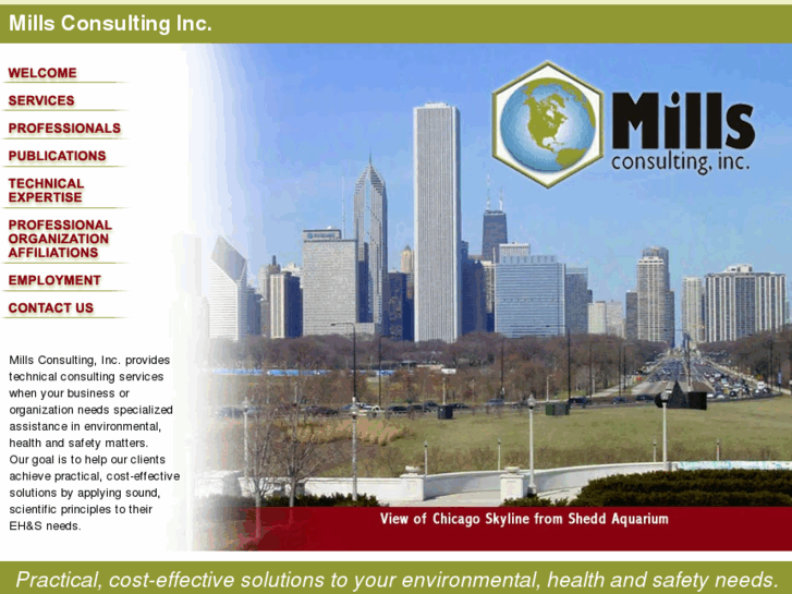 www.mills-consulting.com