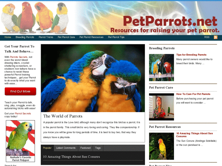 www.petparrots.net