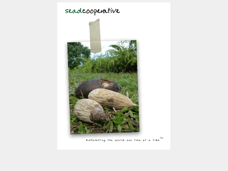 www.seadcooperative.com