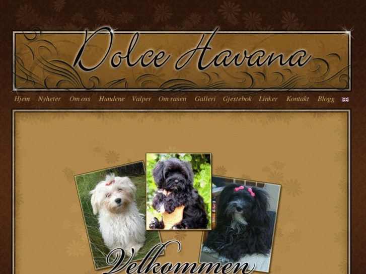 www.dolcehavana.no