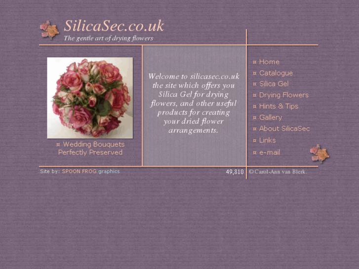 www.silicasec.co.uk