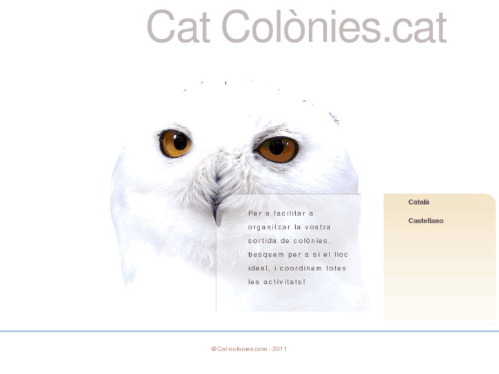 www.catcolonies.biz