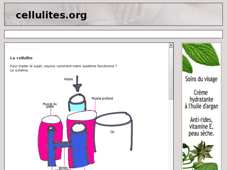 www.cellulites.org