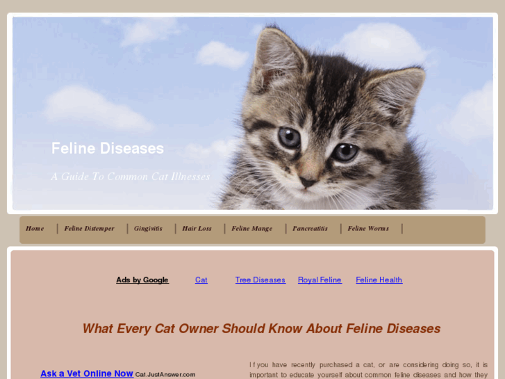 www.felinediseases.net