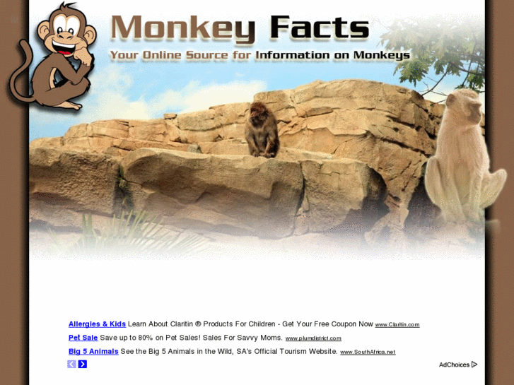 www.monkeyfacts.net