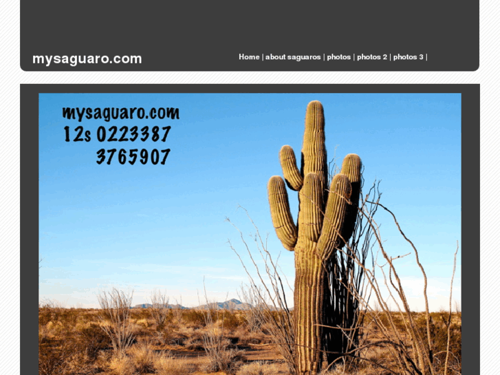 www.mysaguaro.com