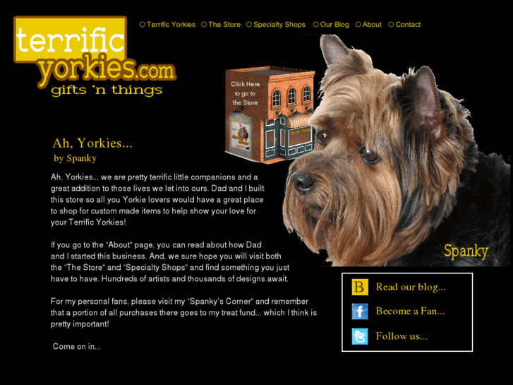 www.terrificyorkies.com