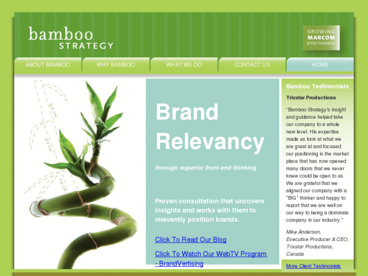 www.bamboostrategy.com