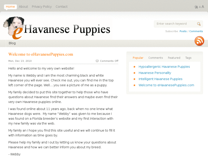 www.ehavanesepuppies.com