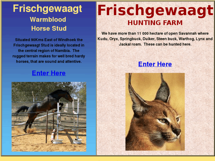 www.frischgewaagt.com