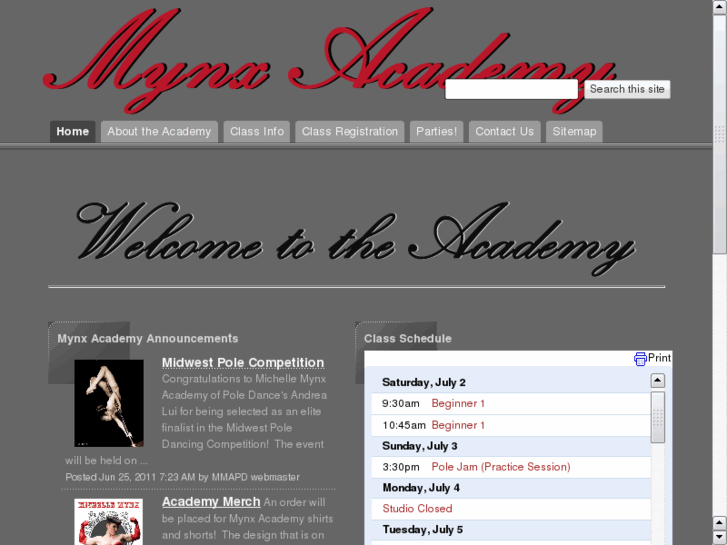 www.michellemynxacademyofpoledance.com
