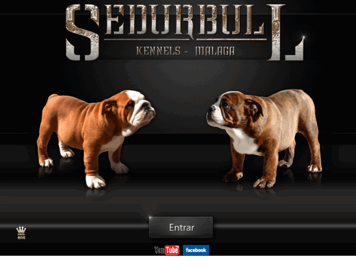 www.sedurbull.com