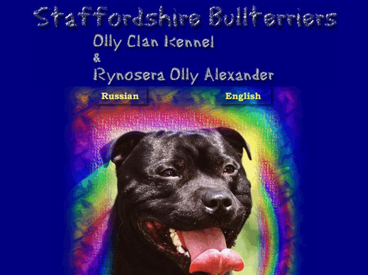 www.staffbull.ru