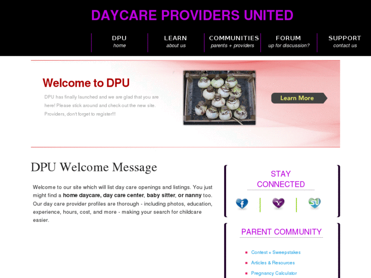 www.daycareprovidersunited.com