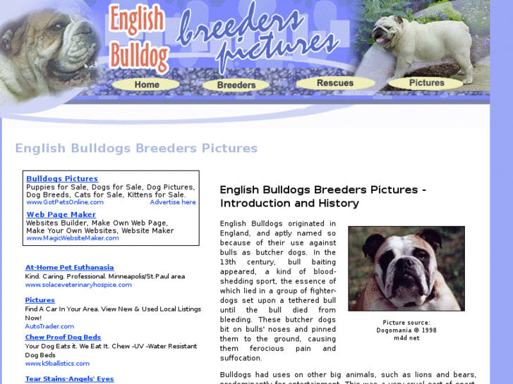 www.english-bulldog-breeders-pictures.com