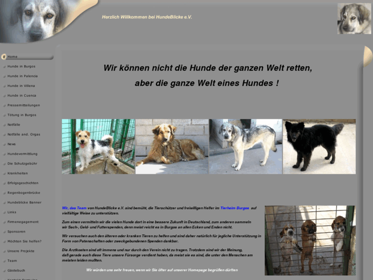 www.hundeblicke.eu