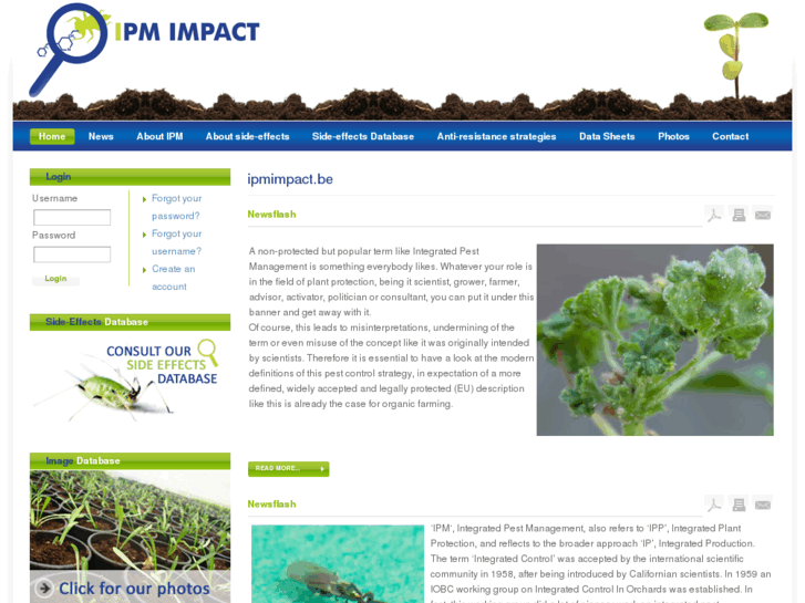 www.ipm-impact.com