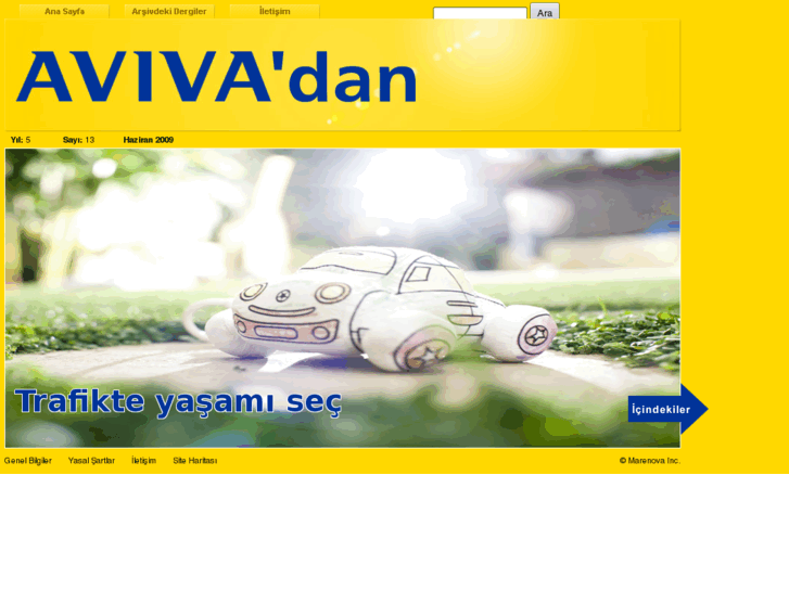 www.avivadan.com
