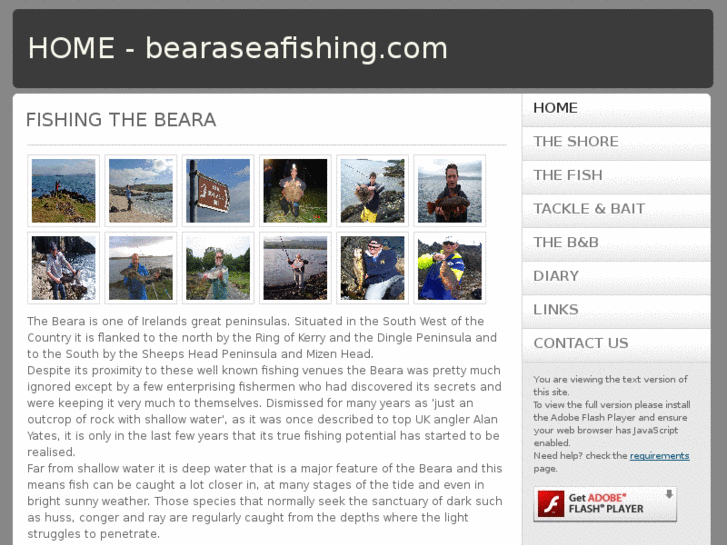 www.bearaseafishing.com