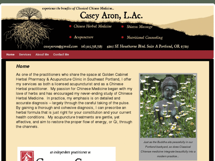 www.caseyaronacupuncture.com