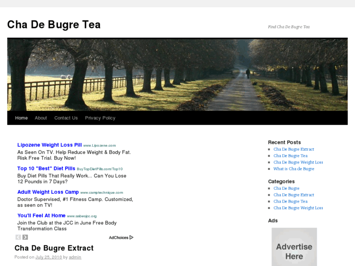 www.chadebugretea.com