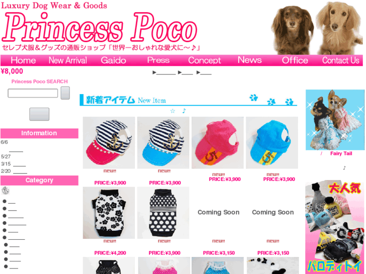 www.poco-dog.com