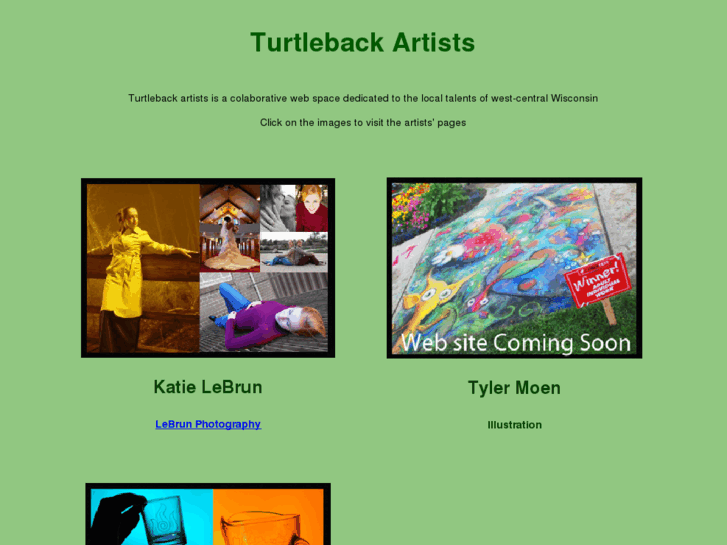 www.turtlebackartists.com