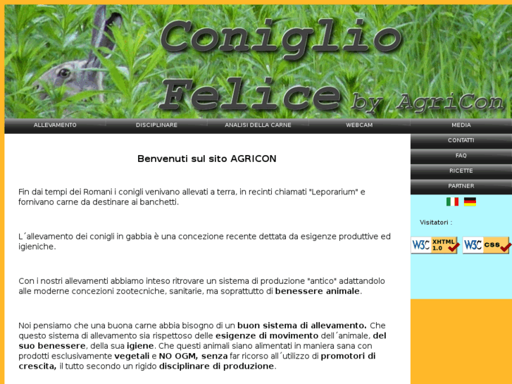 www.conigliofelice.com