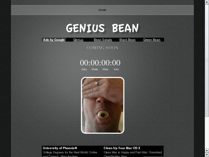 www.geniusbean.com