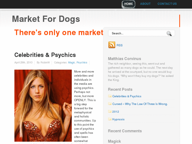 www.marketfordogs.com