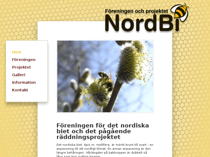 www.nordbi.org