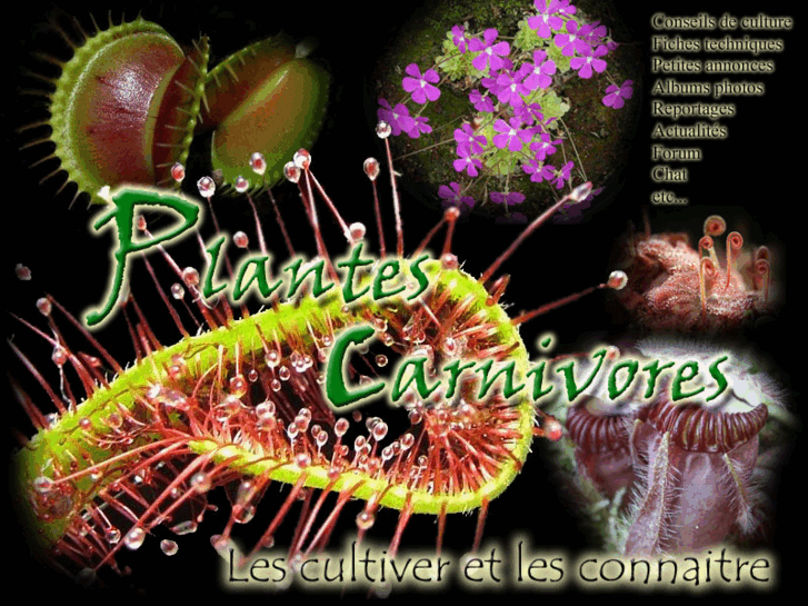 www.plantes-carnivores.com