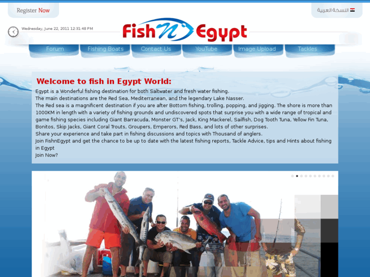 www.fishnegypt.com