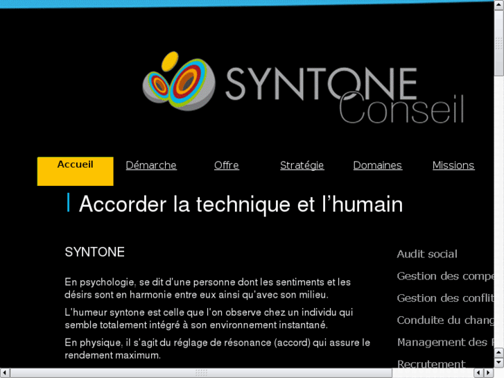 www.syntone-conseil.net