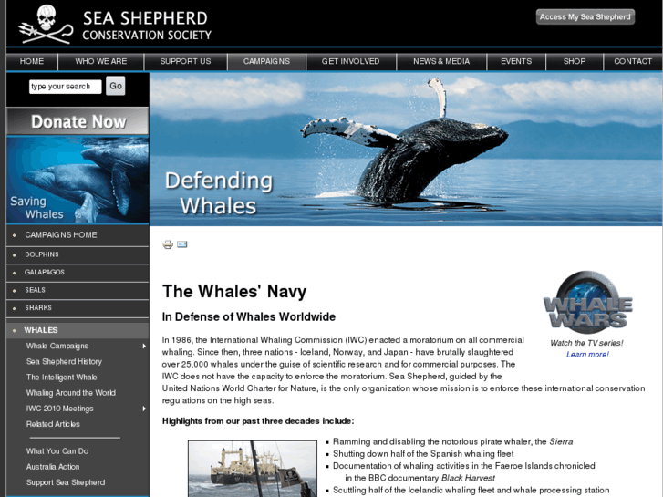 www.defendingwhales.com