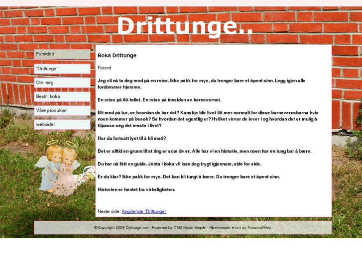 www.drittunge.net