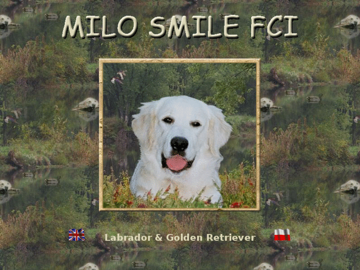 www.milosmile.com